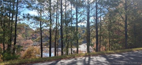 Tiny photo for 0 Saw Mill Road, Cameron, NC 28326 (MLS # 753031)