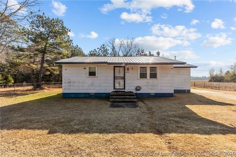 Photo of 1204 Townsend Chapel Road, Red Springs, NC 28377 (MLS # 756801)