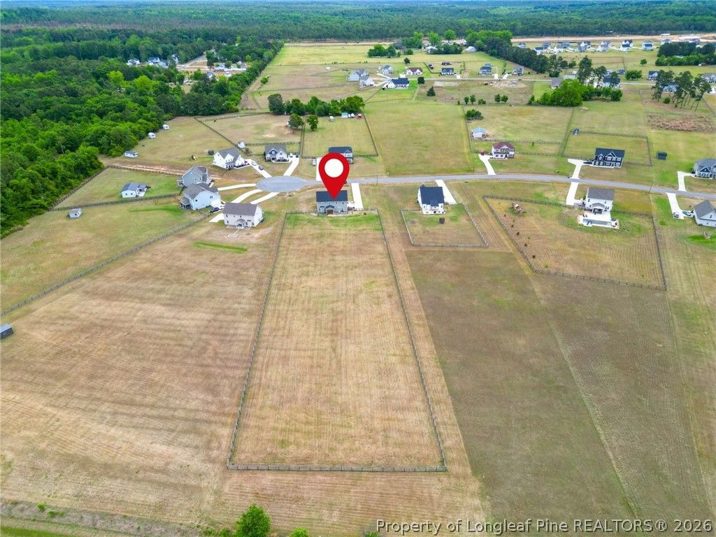 Photo of 319 Rocking Horse Lane, Raeford, NC 28376 (MLS # 761538)