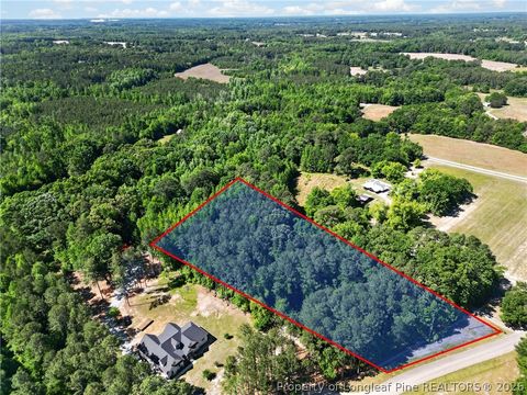 Tiny photo for 0 Fred Stone Road, Sanford, NC 27332 (MLS # 763909)