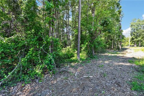 Tiny photo for 0 Fred Stone Road, Sanford, NC 27332 (MLS # 763909)