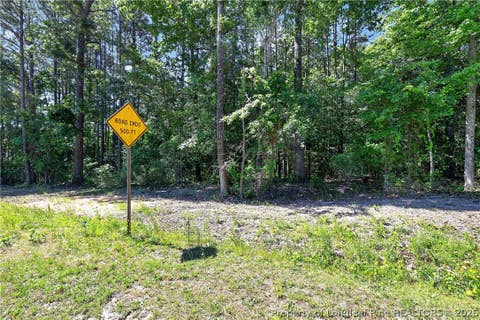 Tiny photo for 0 Fred Stone Road, Sanford, NC 27332 (MLS # 763909)