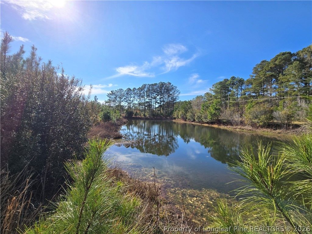 Photo of 5076 Sanderosa Rd Road, Fayetteville, NC 28312 (MLS # 759891)