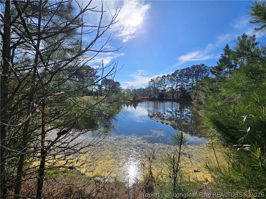 Photo of 5076 Sanderosa Rd Road, Fayetteville, NC 28312 (MLS # 759891)