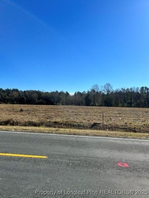Tiny photo for Wire Grass Road, Orrum, NC 28369 (MLS # 753955)
