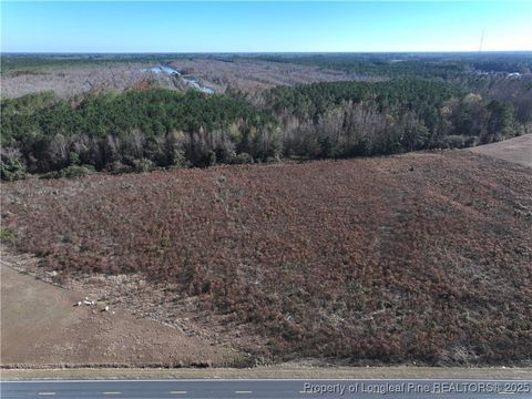 Tiny photo for Wire Grass Road, Orrum, NC 28369 (MLS # 753955)