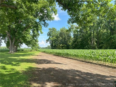 Lot A Pleasant Hope Road Lumberton NC 28340