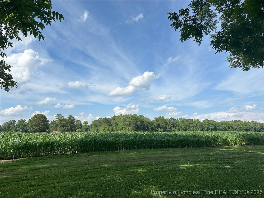 Lot A Pleasant Hope Road