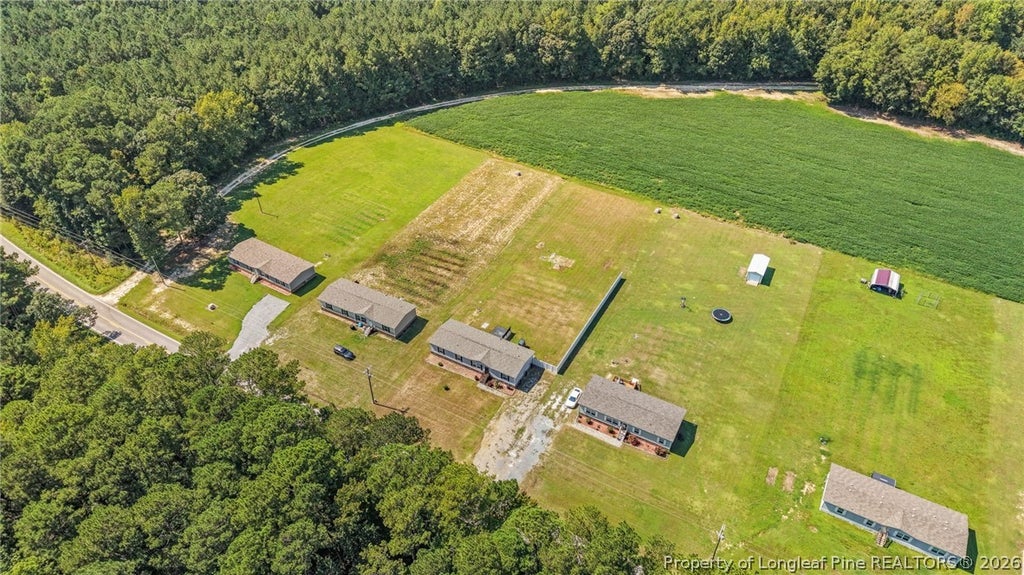 Photo of 8085 NC 210 Highway S, Autryville, NC 28318 (MLS # 768674)