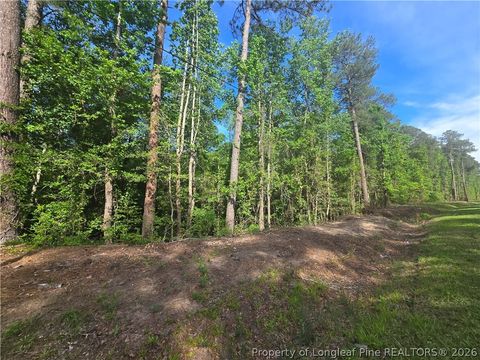 Photo of TBD Cabins Creek Road, Vass, NC 28394 (MLS # 765574)