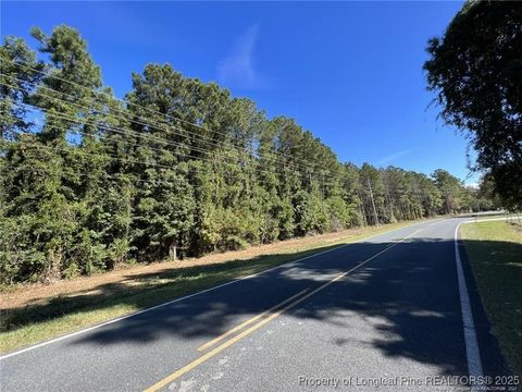 Tiny photo for E Powersville Road, Lumberton, NC 28358 (MLS # 746577)