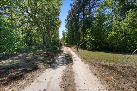 Tiny photo for 3724 A B Carter Road, Fayetteville, NC 28312 (MLS # 761261)