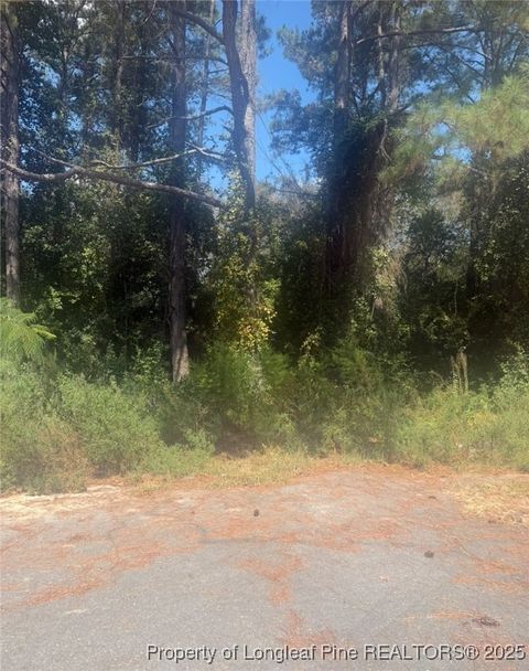 Photo of 2905 Midland Court, Fayetteville, NC 28306 (MLS # 751414)