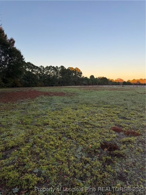 Tiny photo for 111 Ellis Lane, Linden, NC 28356 (MLS # 752801)