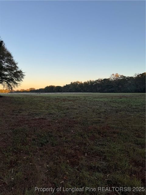 Tiny photo for 111 Ellis Lane, Linden, NC 28356 (MLS # 752801)