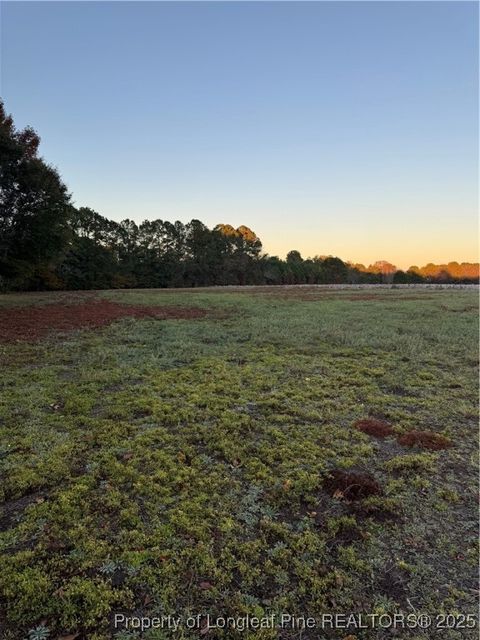 Tiny photo for 111 Ellis Lane, Linden, NC 28356 (MLS # 752801)