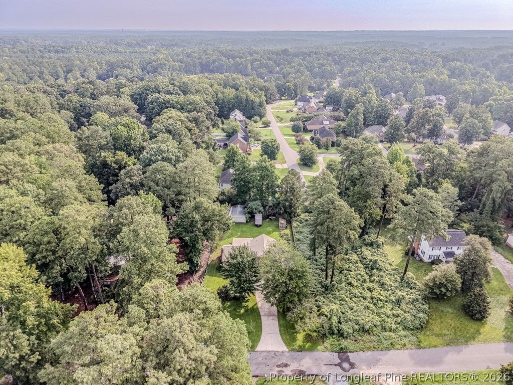 Photo of 1911 Owls Nest Road, Sanford, NC 27330 (MLS # 766479)
