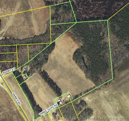 161 SHORT ST, RAEFORD, NC 28376 - Image e99bda955ec3a0ed75f86c14a843bf50/500307341