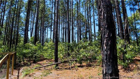 Tiny photo for 202 Englewood Drive, Raeford, NC 28376 (MLS # 764968)