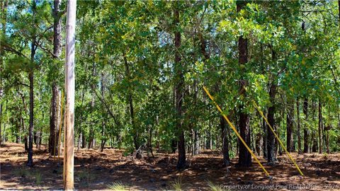 Tiny photo for 202 Englewood Drive, Raeford, NC 28376 (MLS # 764968)