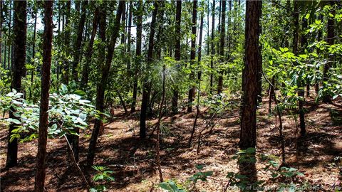 Tiny photo for 202 Englewood Drive, Raeford, NC 28376 (MLS # 764968)