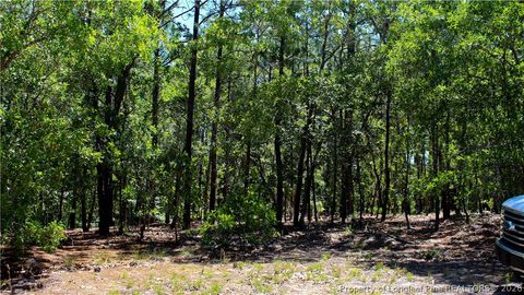 Tiny photo for 202 Englewood Drive, Raeford, NC 28376 (MLS # 764968)