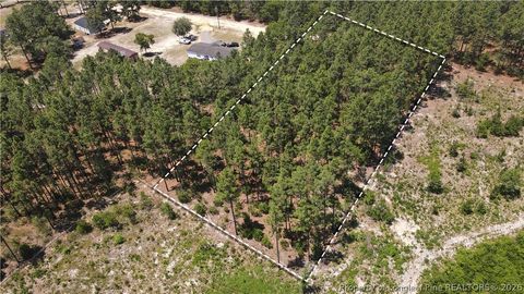 Tiny photo for 202 Englewood Drive, Raeford, NC 28376 (MLS # 764968)