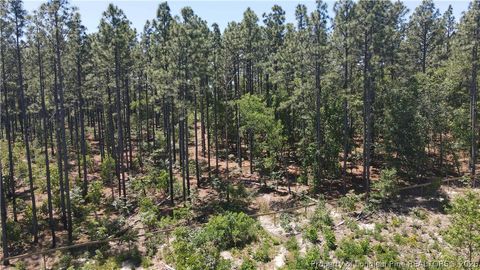 Tiny photo for 202 Englewood Drive, Raeford, NC 28376 (MLS # 764968)