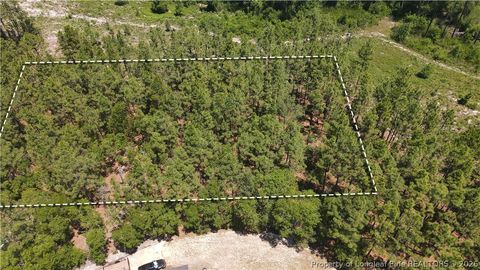 Tiny photo for 202 Englewood Drive, Raeford, NC 28376 (MLS # 764968)