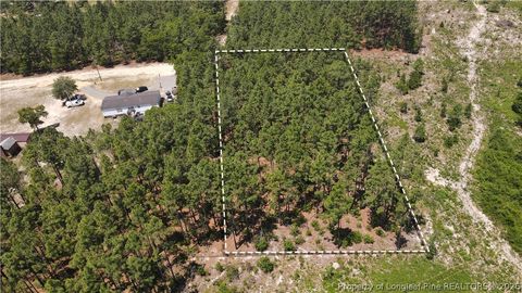 Tiny photo for 202 Englewood Drive, Raeford, NC 28376 (MLS # 764968)