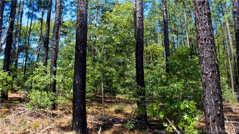 Tiny photo for 202 Englewood Drive, Raeford, NC 28376 (MLS # 764968)
