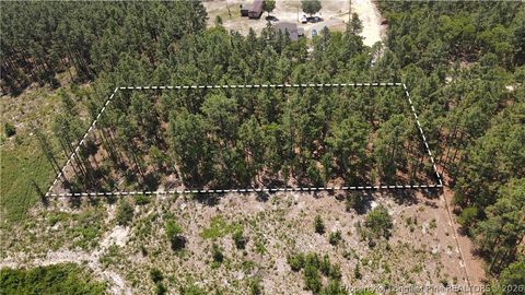 Tiny photo for 202 Englewood Drive, Raeford, NC 28376 (MLS # 764968)