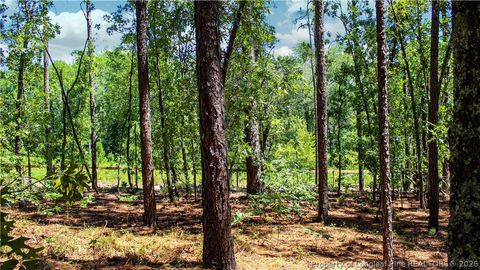 Tiny photo for 202 Englewood Drive, Raeford, NC 28376 (MLS # 764968)