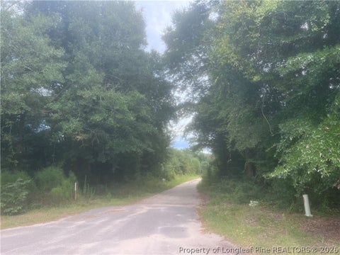 Tiny photo for ORANGE Street, Fair Bluff, NC 28439 (MLS # 769230)