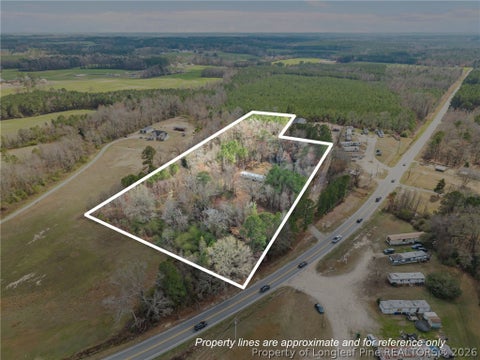 Photo of 7275 NC 210 S Highway, Bunnlevel, NC 28323 (MLS # 769130)