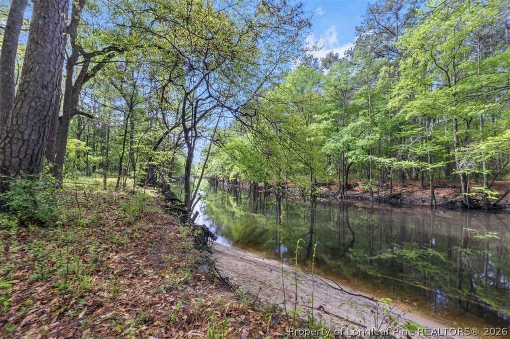 Photo of 1007 Riverside Boulevard, Lumberton, NC 28358 (MLS # 760184)