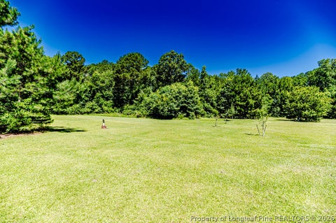 Tiny photo for 10110 NC 27 Highway W, Lillington, NC 27546 (MLS # 769621)