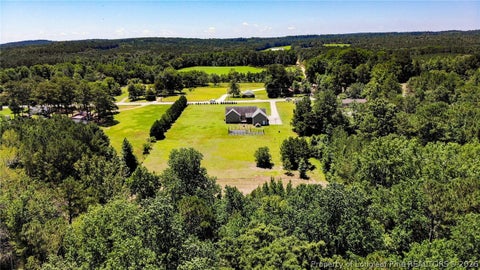Tiny photo for 10110 NC 27 Highway W, Lillington, NC 27546 (MLS # 769621)