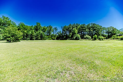Tiny photo for 10110 NC 27 Highway W, Lillington, NC 27546 (MLS # 769621)