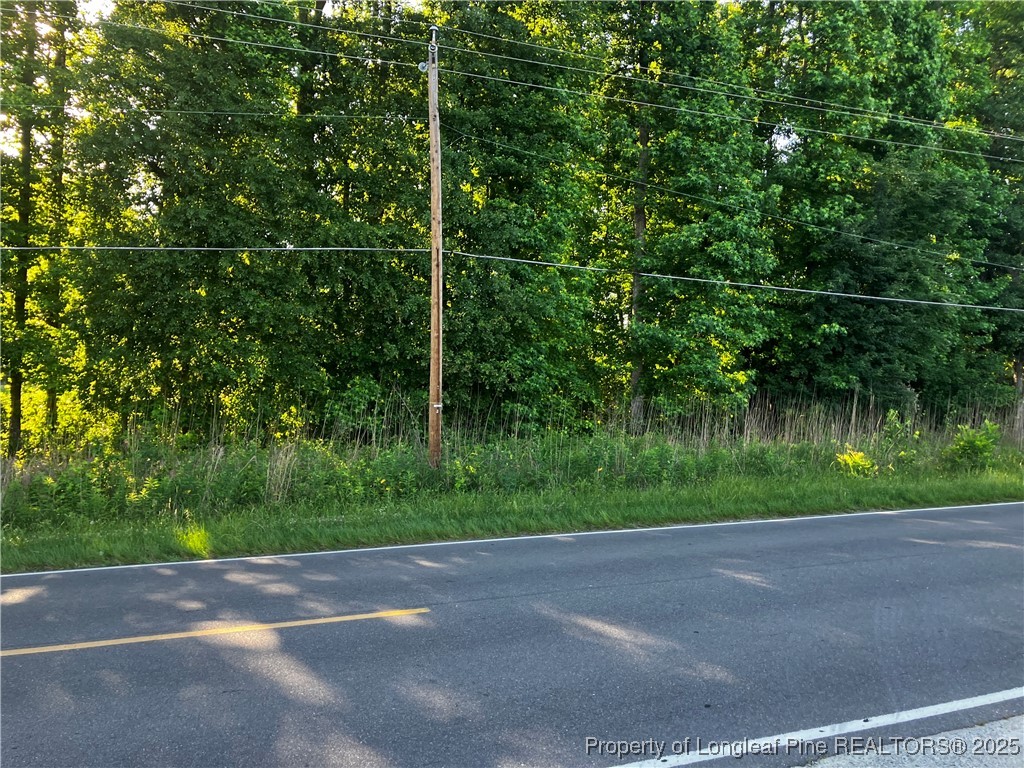 0 Lemon Springs Road