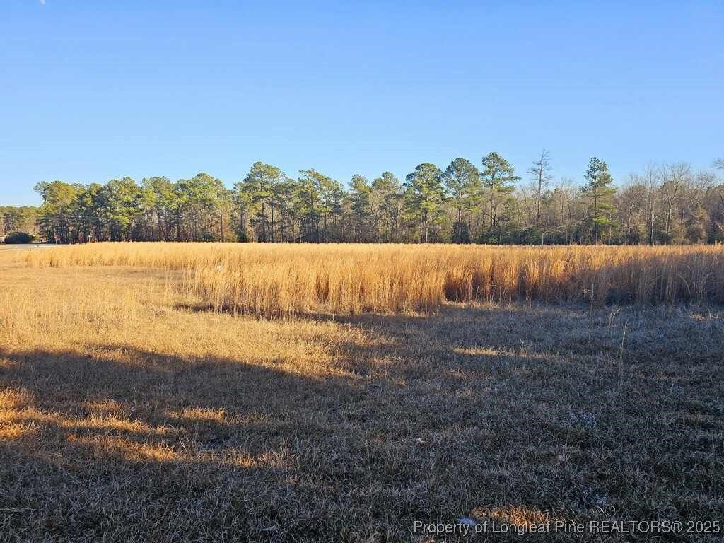 Photo of 0 Nicholson Road, Sanford, NC 27332 (MLS # 736885)