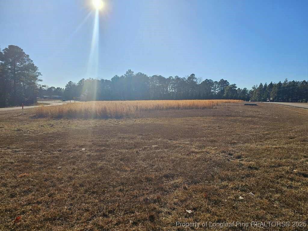 Photo of 0 Nicholson Road, Sanford, NC 27332 (MLS # 736885)