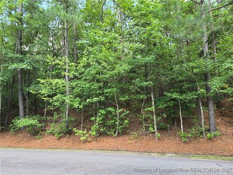 Photo of 893 Loblolly Drive, Woodlake, NC 28394 (MLS # 750304)