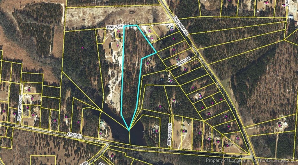 Photo of TBD Pine Lake Drive, Raeford, NC 28376 (MLS # 739675)