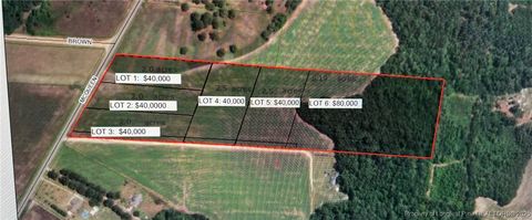 Photo of McQueen Road, Red Springs, NC 28377 (MLS # 750330)