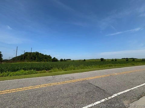 Tiny photo for Dallas Road, Lumberton, NC 28358 (MLS # 767621)
