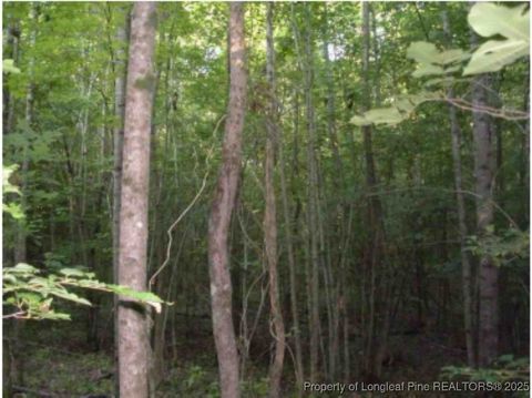 Tiny photo for Hawks Road, Norlina, NC 27563 (MLS # 752202)