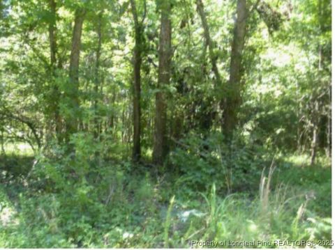 Tiny photo for Hawks Road, Norlina, NC 27563 (MLS # 752202)