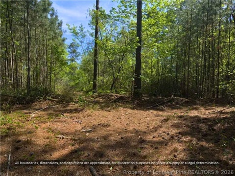 Tiny photo for 00-00 Strother Road, Aberdeen, NC 28315 (MLS # 769142)