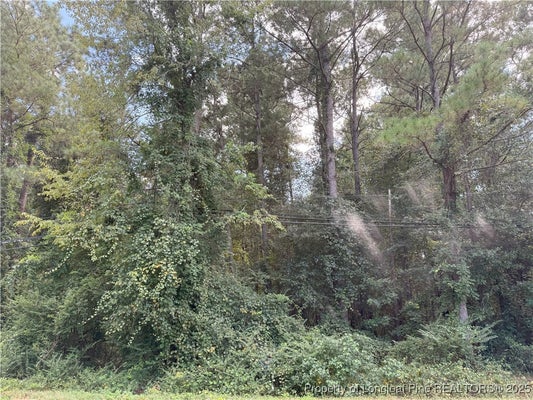 101 E WILLIAMS ST, AUTRYVILLE, NC 28318 - Image f38575912c1fc91b3cf960f9e250aef7/2688658625